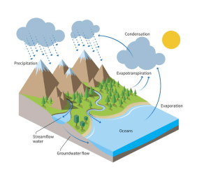 Water Cycle: Building a Diagram Lesson Plans and Worksheets