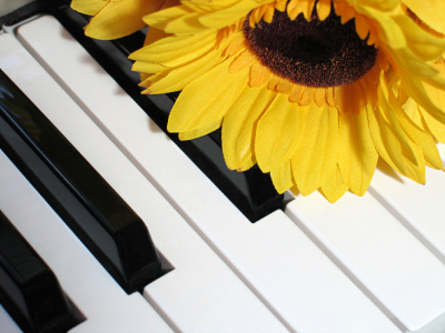 Music Games and Theory