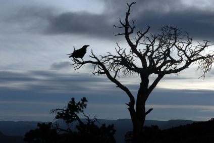 The Raven Lesson Plans