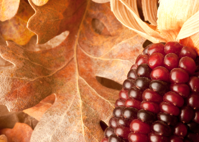 Thanksgiving Music Lesson