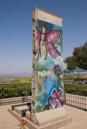 Berlin Wall Lesson Plans