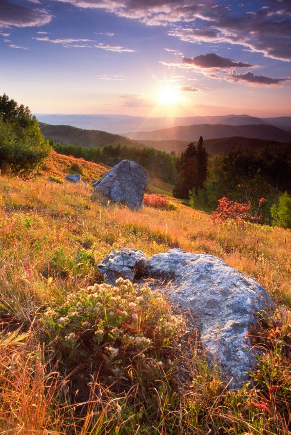 Landscape Lesson Plans II