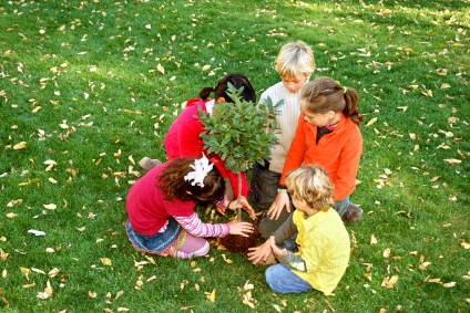 Arbor Day Lesson