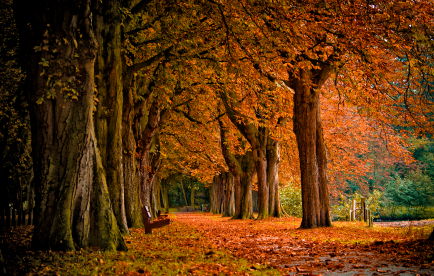 descriptive writing lesson 