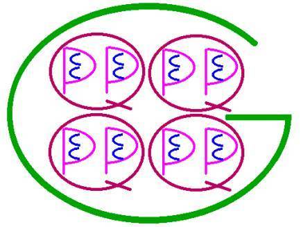 Mr. Gallon Man Lessons