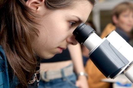 organelle lesson plans