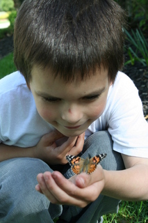 bring science to life lessons