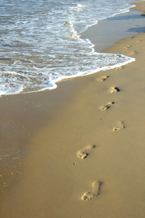 Three Types of Environmental Problems Lessons