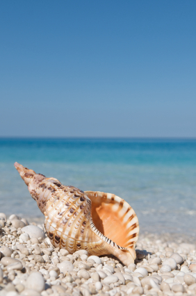 summer science reading list