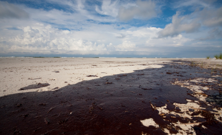 Gulf Oil Spill Lesson Plans