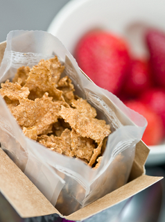 cereal box book reports