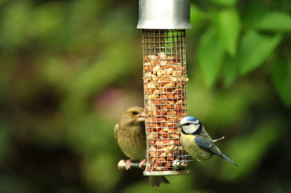 project based learning lesson plans