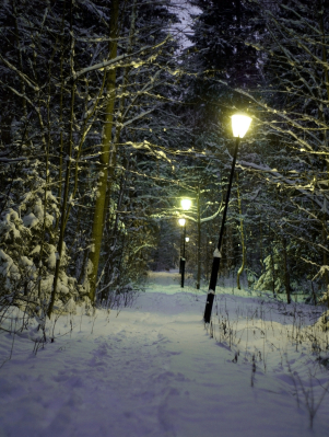 Snowy gateway to another world