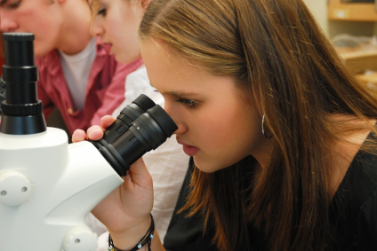 Classification of the Kingdoms of Life